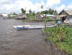 Diskan Diminta Hentikan Illegal Fishing