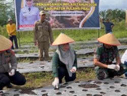 Gerakan Tanam Bawang Merah di Lahan Holtikultura