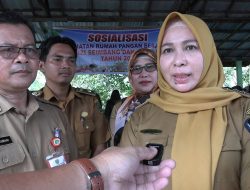 Program Ketahanan Pangan harus Menyentuh hingga Perdesaan