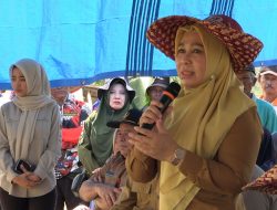 Optimalisasi Lahan di Area Food Estate