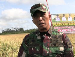 Gerakan Terpadu TNI Tuntaskan Lahan Opla