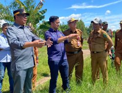 Dukung Program Co-Firing Biomassa, PLN Nusantara Power UP Tanam Bibit Pohon Energi di Desa Rawa Subur