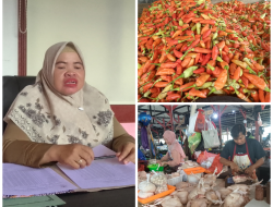Jelang Idul Adha, Harga Bapok di Pasar Saik Dinilai Stabil