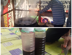 Gula Nipah Hasilkan Nilai Ekonomi Tinggi Bagi Masyarakat Desa Sungai Undang