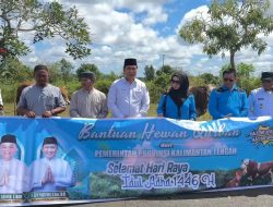 Kabupaten Pulang Pisau Terima Bantuan Sapi Kurban dari Provinsi