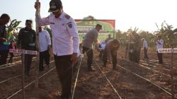 Dukung Ketahanan Pangan, Pemkab Seruyan Melaksanakan Penanaman Jagung