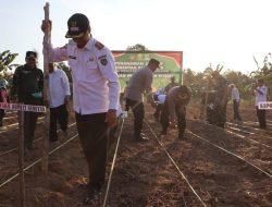Dukung Ketahanan Pangan, Pemkab Seruyan Melaksanakan Penanaman Jagung