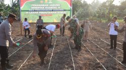 Dukung Ketahanan Pangan, Polres Seruyan Tanam Jagung di Lahan Seluas 1 Hektar