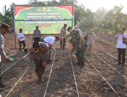 Dukung Ketahanan Pangan, Polres Seruyan Tanam Jagung di Lahan Seluas 1 Hektar