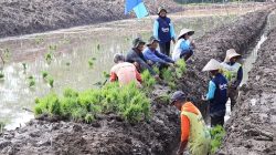 Program Cetak Sawah Rakyat Harus Sinergi