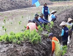 Program Cetak Sawah Rakyat Harus Sinergi