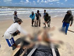 ABK KM 7 Bintang Sukses yang Ceburkan Diri ke Laut Ditemukan Meninggal Dunia