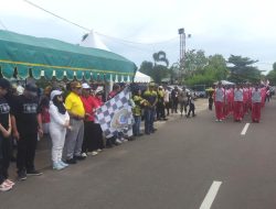 Sebanyak 70 Peserta Pawai Karnaval Meriahkan HUT Seruyan Ke-23 dan HUT RI ke-80