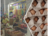 Stok Terbatas, Harga Bawang Melonjak Signifikan