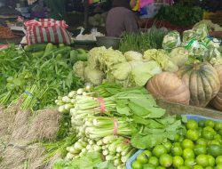 Pengiriman Lancar, Stok Sayur di Pasar SAIK Dipastikan Aman