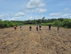 Polsek Danau Sembuluh Dukung Program Swasembada Pangan Melalui Penanaman Jagung di Lahan PT HMBP