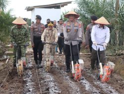 Kapolda Kalteng Bersama Gubernur Hadiri Pilot Project Lahan Jagung