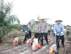 Jayadikarta Apresiasi Wilayahnya Menjadi Pilot Project Program Pangan Nasional