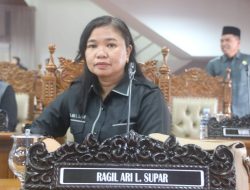 DPRD Dorong Digitalisasi Hingga Menjangkau Pelosok Daerah