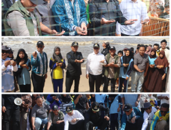 Penetasan Semi Alami Telur Penyu di Desa Sungai Bakau Diresmikan