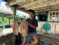 Beradu Nasib Diderasnya Ombak Laut Lepas Bahaur