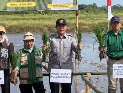 Akselerasi Cetak Sawah di Pulang Pisau