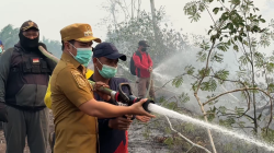 Karhutla, Dampak dan Antisipasi Jangka Panjangnya