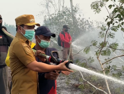Karhutla, Dampak dan Antisipasi Jangka Panjangnya