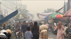 Asap Tebal Memasuki Wilayah Kota, Aktifitas Masyarakat Mulai Terganggu