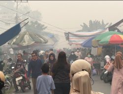 Asap Tebal Memasuki Wilayah Kota, Aktifitas Masyarakat Mulai Terganggu