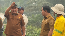 Bupati Tinjau Progres Akses Jalan Desa di Sebangau Kuala